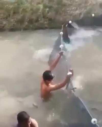 HF’s trying to stop retail. HODL! 🚀🚀🚀