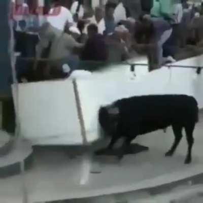 Brota xCHIFRE 😎👌