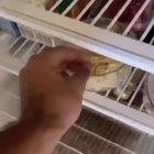 I think they like it