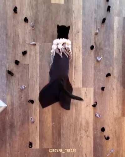 Черный боярин