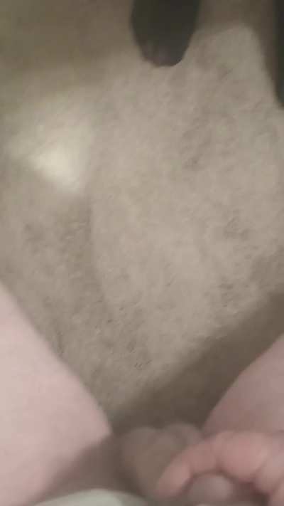 We kicked him so hard in nylons while telling how badly we are going to ruin his balls!