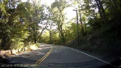 Idiot overtakes on a double yellow around a blind curve