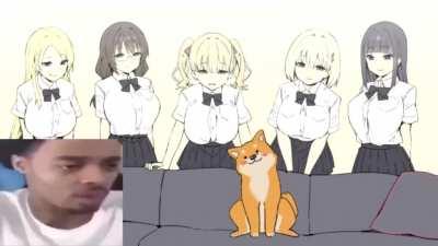 Que le van a hacer al perro?