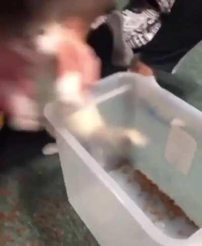 Воспиталити