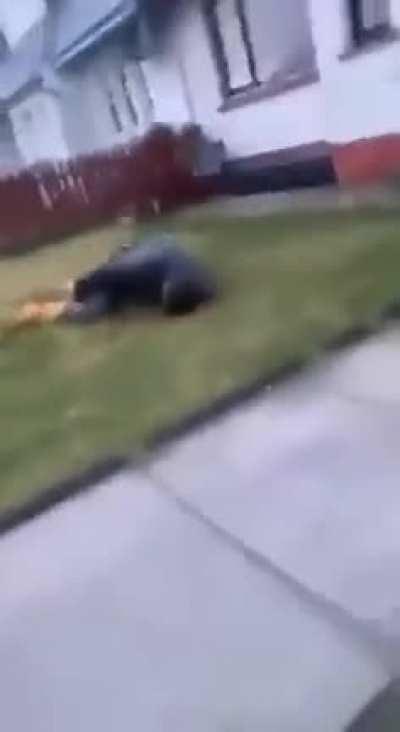 Guy jumps off of a roof, breaks legs instantly