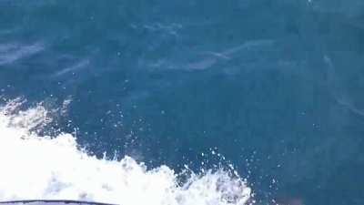 headed southwest through whale pass between kodiak and afognak alaska