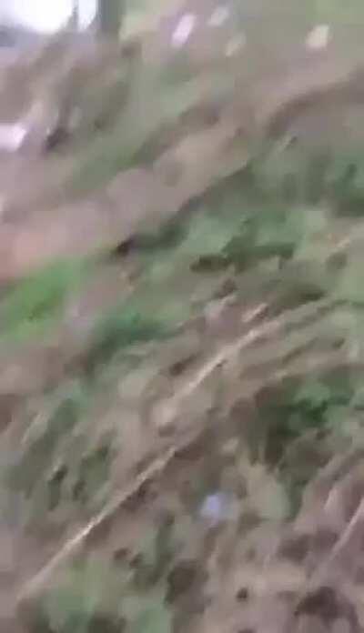 Horrible or hilarious