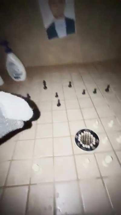 Levy? How could you do this to me?