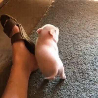 Now that's the sweet spot! -