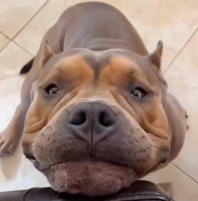 A Big Smile From The Big Guy