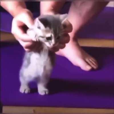 BANK TELLER KNOW WHERE I STAY🗣️🗣️🗣️