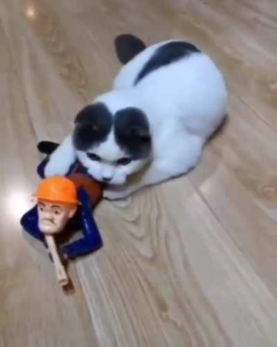 We move... 5 meter spread... no sound