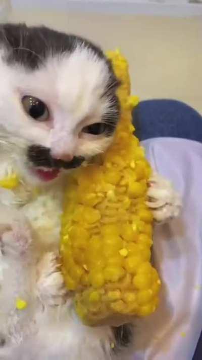 Corn! favorite food!!
