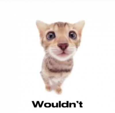 🎶I’m going to bed nowww ~You can all suck me dick~🎵