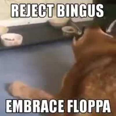 embrace floppa