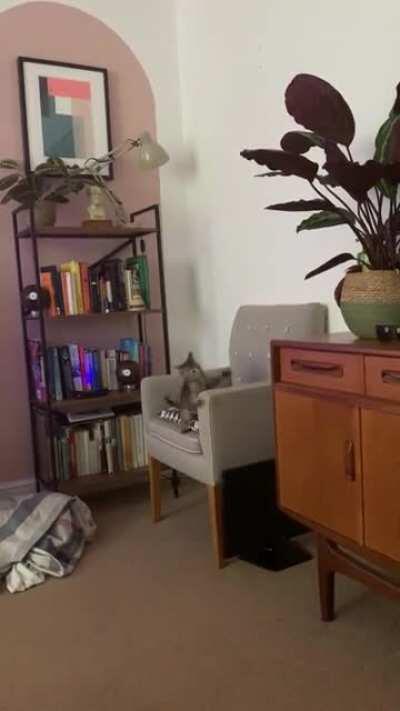 Someone is taking Summer school