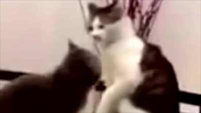 Remember the Basics of CQC