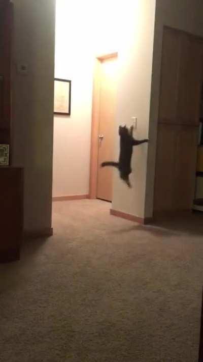 If he gets opposible thumbs he will be unstoppable.