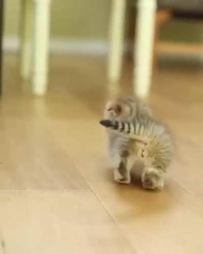 She is so cute that makes my day