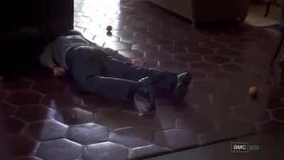 Ted Trips but every time part of Ted or oranges touch the ground there's a vine boom (video by me)