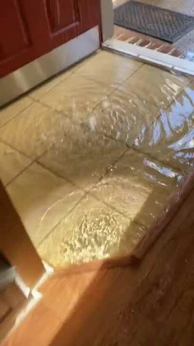 Closed on a condo two weeks ago. Today the supply line to the fire sprinklers broke in the attic...