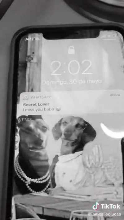 no body, no crime (un)official MV out now!!!