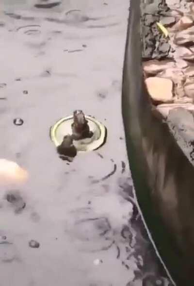 Titanic in a nutshell