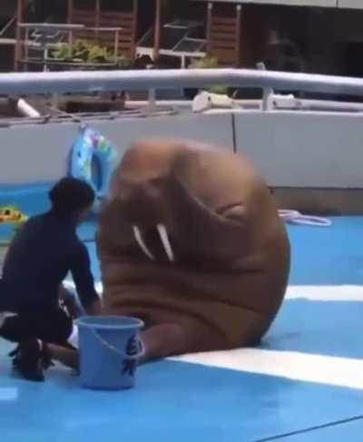 The big athlete is rocking the big abs!)