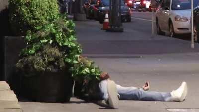 Bushman scaring people