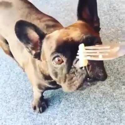 Хозяева, я вам подливку для сюрстреминга принес