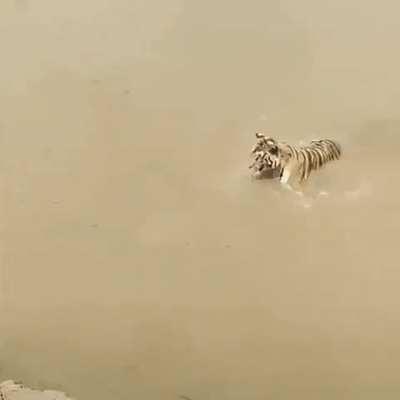 Oh how the turntables have turned tables