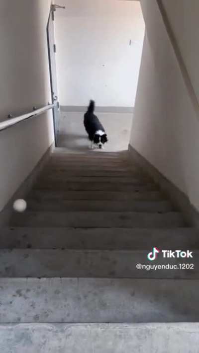 No humans or automatic ball throwers needed.