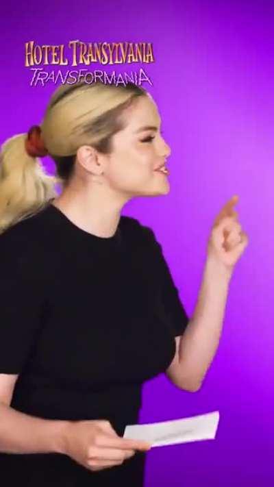 Hotel transylvania selena 