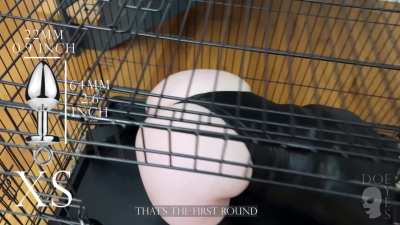 collar on, hood secured, knees bent just right : training starts now.