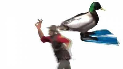 I improved a meme I saw on Discord