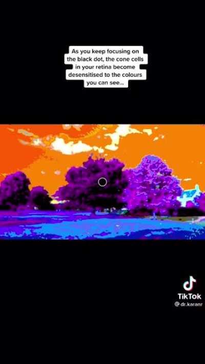 The way your brain assumes colour is amazing!