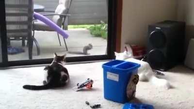 Just biding their time