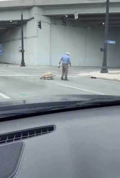 Walking a tortoise