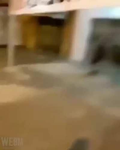 Skateboarding... Yay.. oh wait