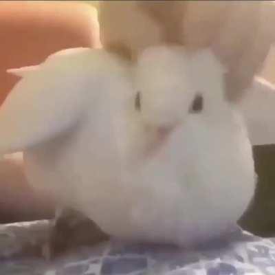 Just a little bit of happiness for you all sorting by new :)