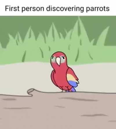 A primeira pessoa descubrindo do o papagaio