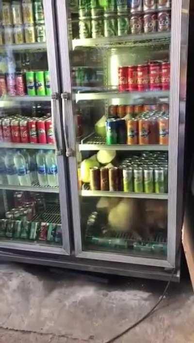 The Brazilian summer affects everyone.