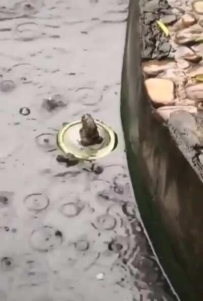 There can only be one