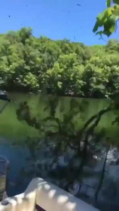 HMF as I swing into the water