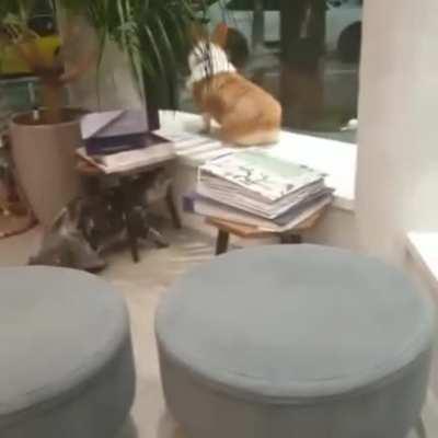 I slapped that butt, It was Irresistible