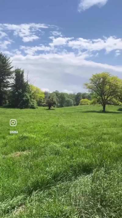 Upstate and chill | Instagram | May 21, 2025