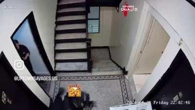 NYPD Highlights 💀 nah he tossed shorty down the stairs 💀 she was telling her partner “wait wait” in Spanish 😂