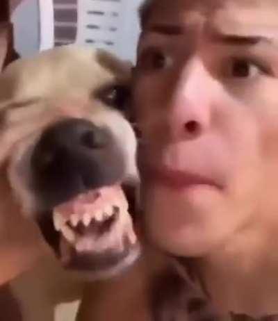 Beatboxing with the doggo!