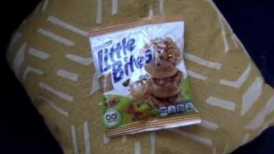 Little Bites 🍪