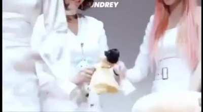 SaHyo personality swap be like